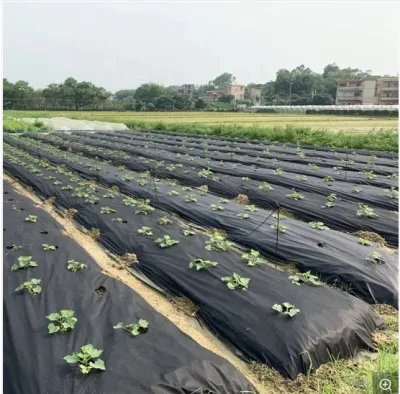 L'anti tissu UV de jardin de couverture d'usine a fait le textile tissé agricole de pp non