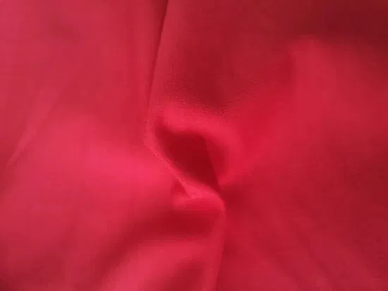 Tissu éponge 100% polyester tricoté DTY Brush Single Jersey Terry